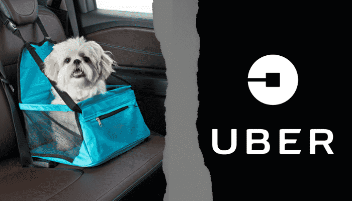 Leia mais sobre o artigo Uber aceita cachorros? Saiba mais sobre transporte de PET’s!