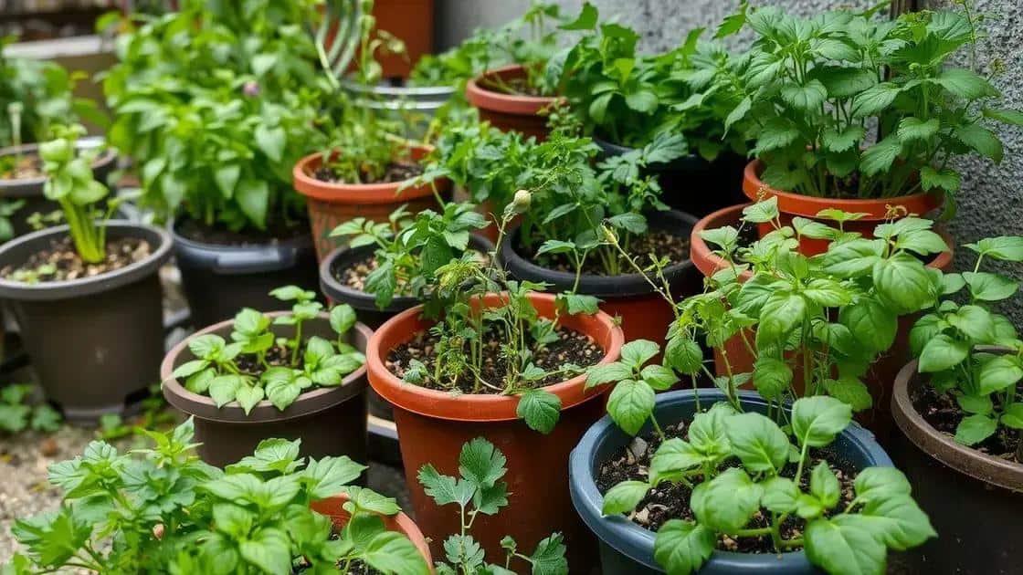 Leia mais sobre o artigo Jardim funcional até em apartamentos