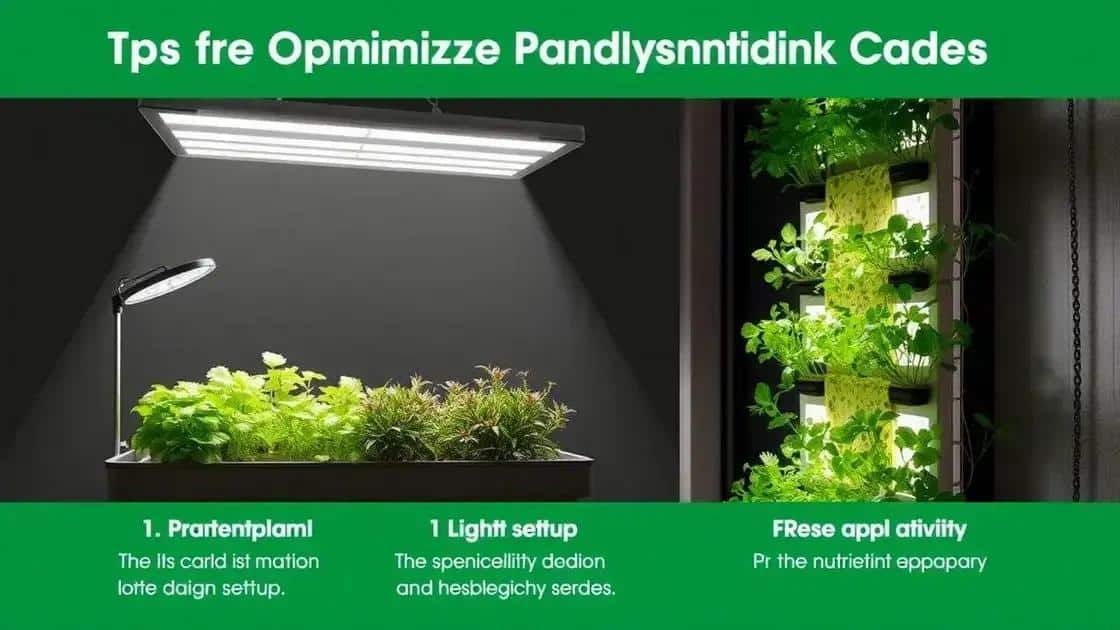 Dicas para otimizar a produção na sua horta vertical Dicas para otimizar a produção na sua horta vertical