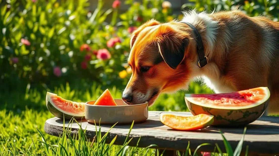 Dicas para hidratação adequada no verão Dicas para hidratação adequada no verão