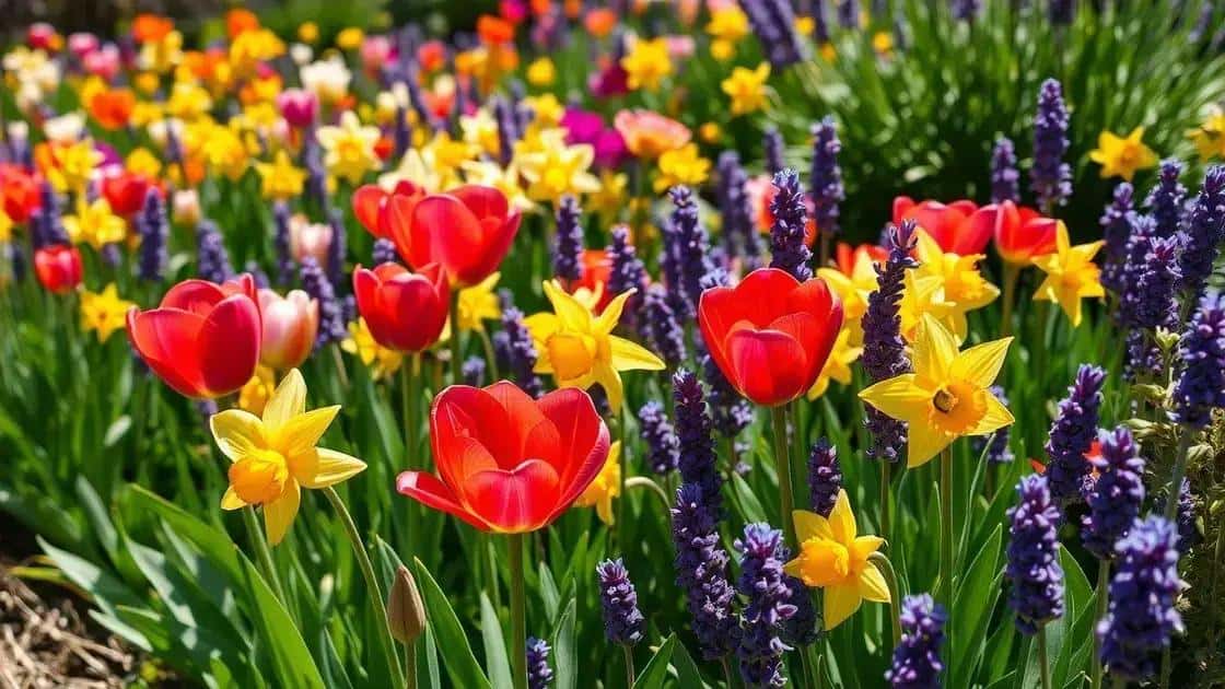 Como cuidar das flores na primavera Como cuidar das flores na primavera