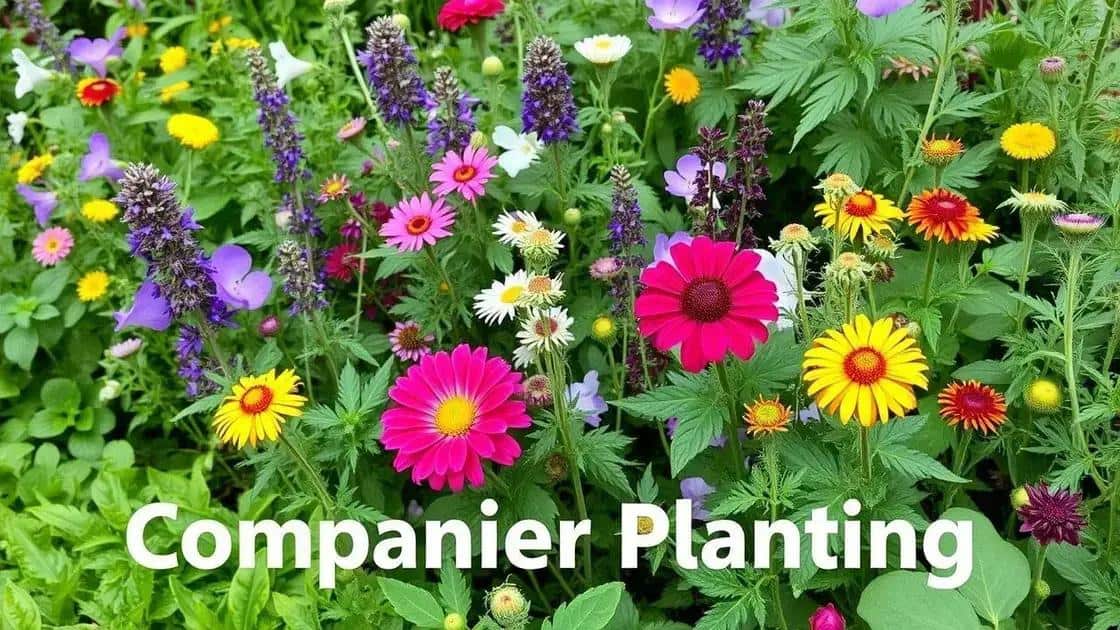 Ervas e flores que podem ser plantadas juntas Ervas e flores que podem ser plantadas juntas