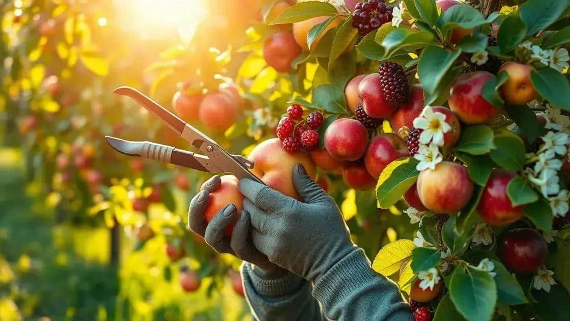 Técnicas para colher sem danos Técnicas para colher sem danos