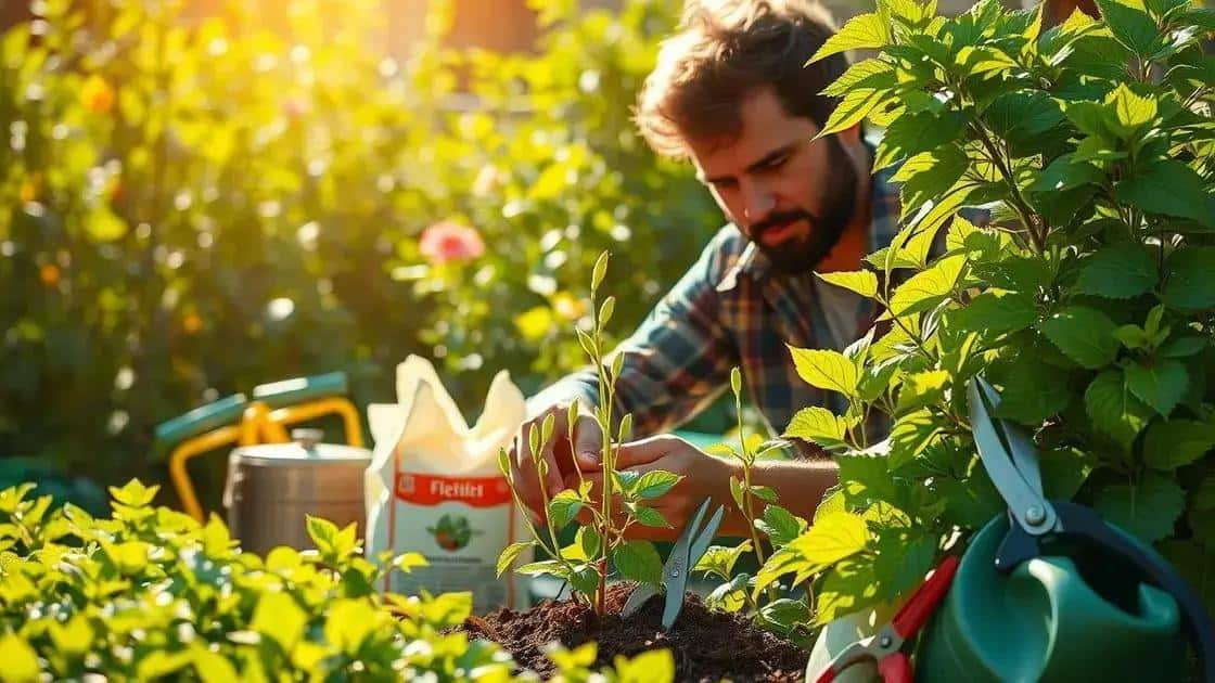 Como estimular novas brotações Como estimular novas brotações