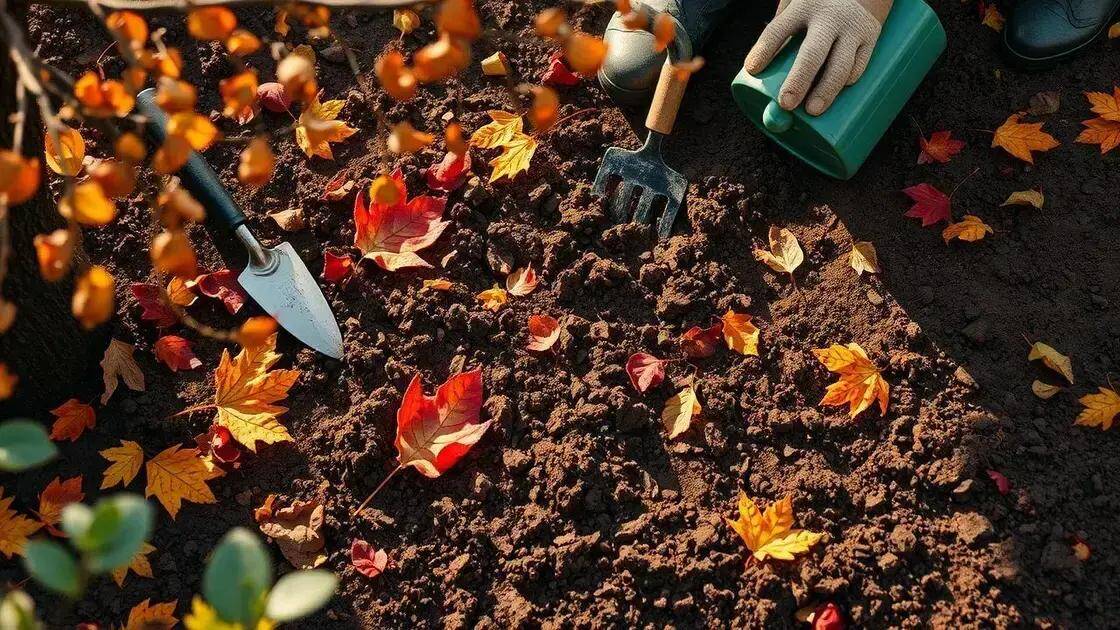 A importância da preparação do solo no outono A importância da preparação do solo no outono