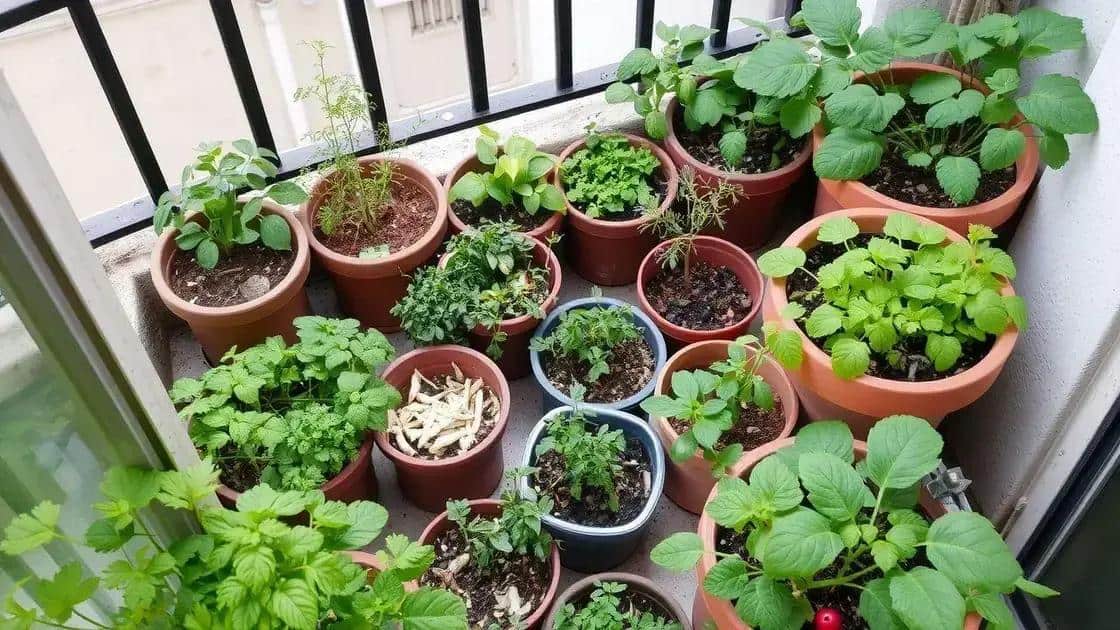 Benefícios de ter uma horta em sacada pequena Benefícios de ter uma horta em sacada pequena