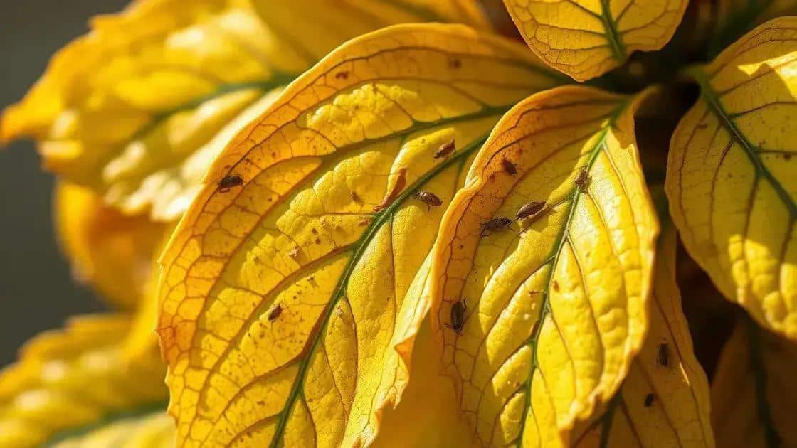 Principais causas das folhas amarelas Principais causas das folhas amarelas