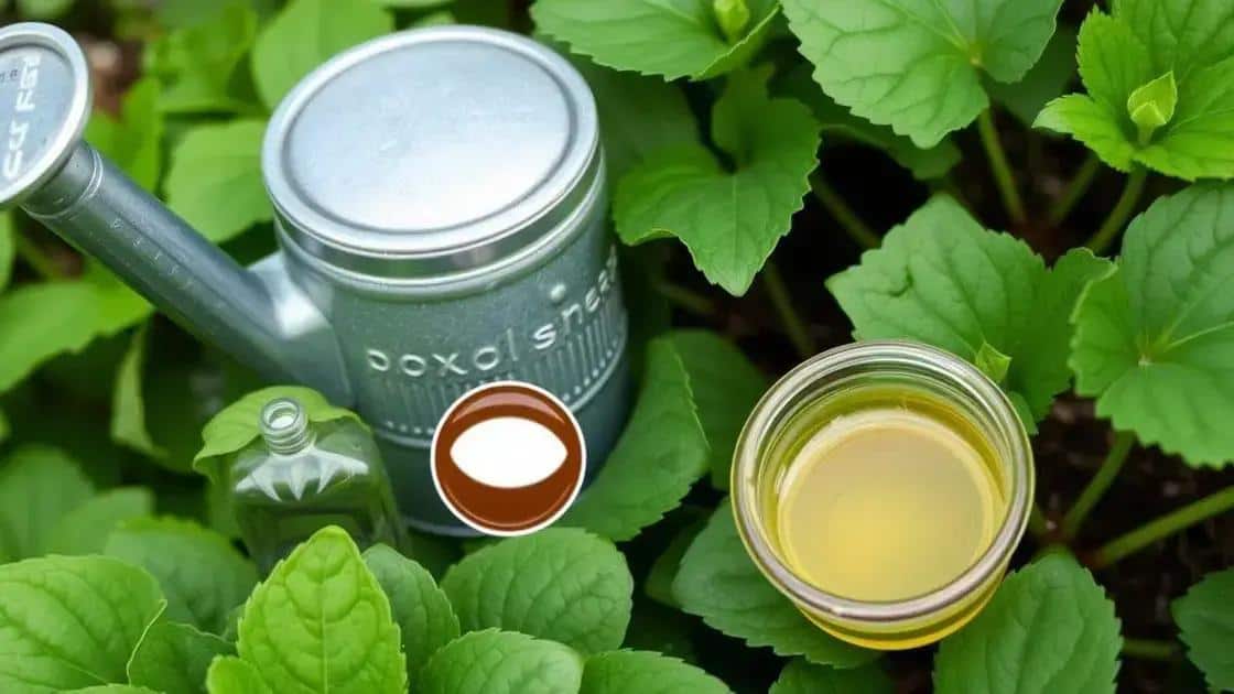 Soluções caseiras para recuperar folhas amareladas Soluções caseiras para recuperar folhas amareladas