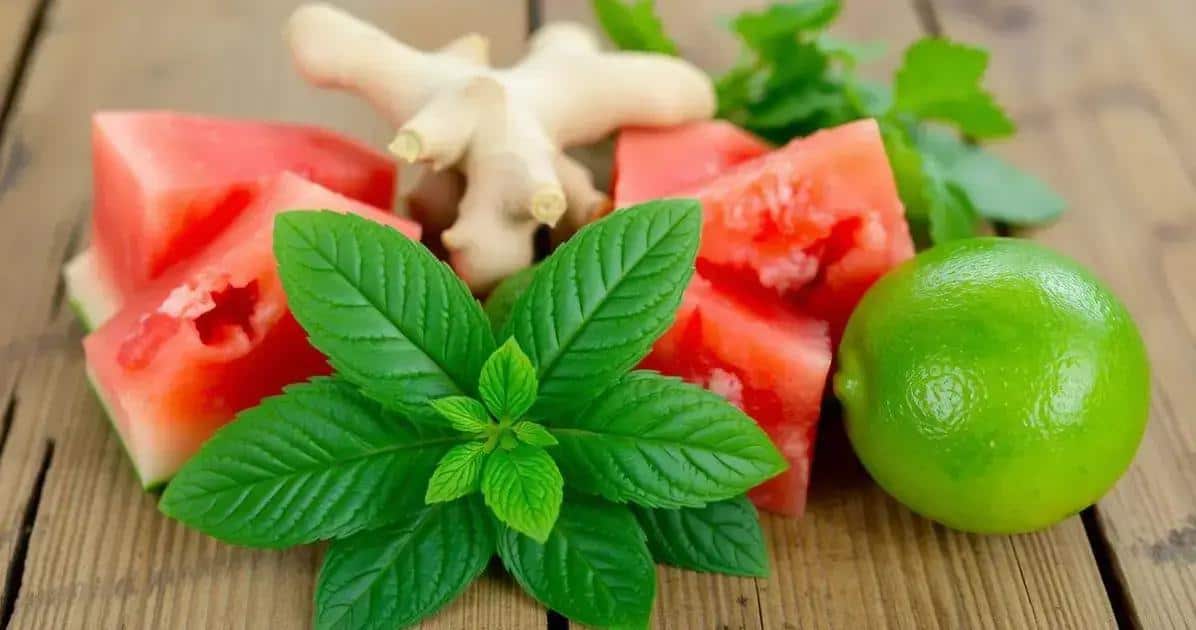 Ingredientes do Drink Verde com Espuma de Melancia e Gengibre