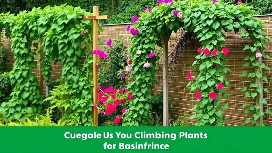 por que investir em estruturas para plantas trepadeiras por que investir em estruturas para plantas trepadeiras