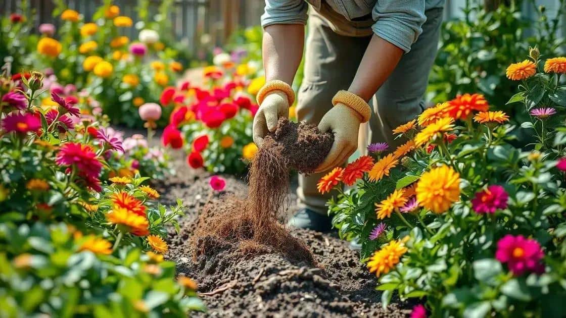 dicas de adubação simples para iniciantes dicas de adubação simples para iniciantes