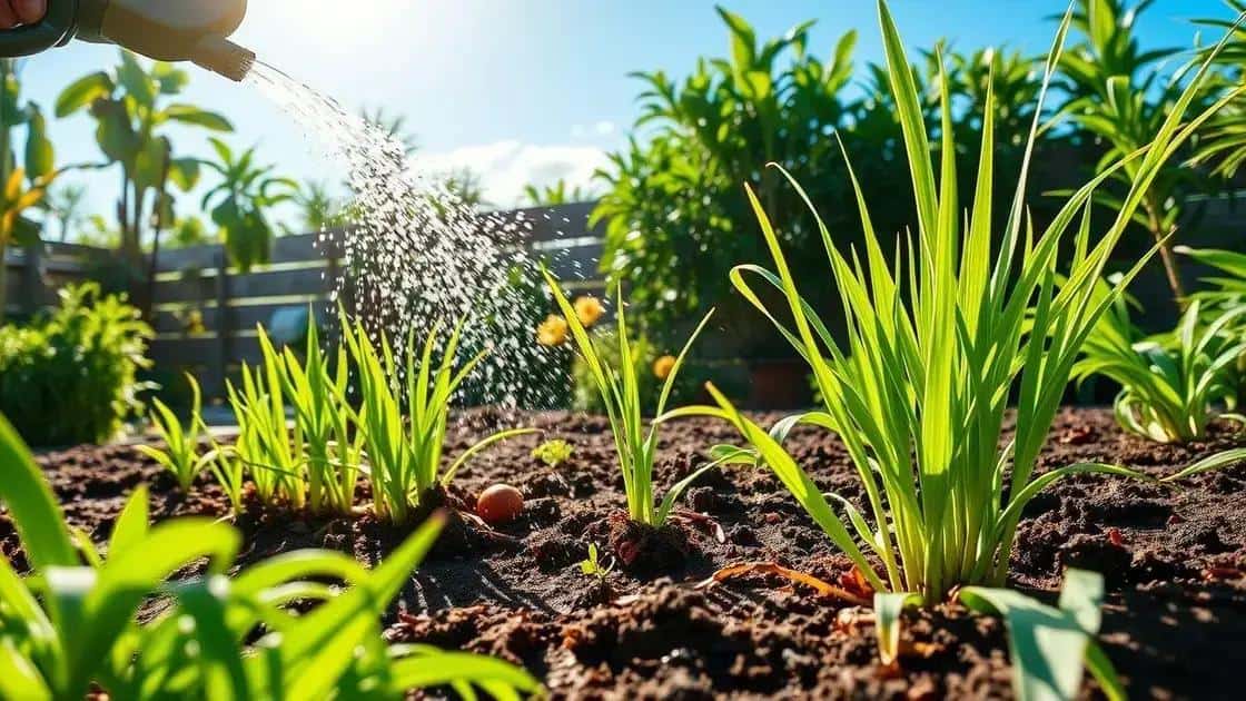 Cuidados essenciais para o cultivo de erva-cidreira Cuidados essenciais para o cultivo de erva-cidreira