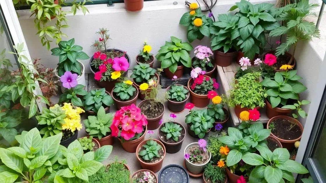 Leia mais sobre o artigo Transformando sua varanda em um espaço verde aconchegante