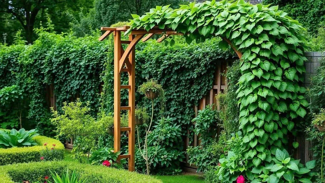 o que é um arco para trepadeiras reforçado o que é um arco para trepadeiras reforçado