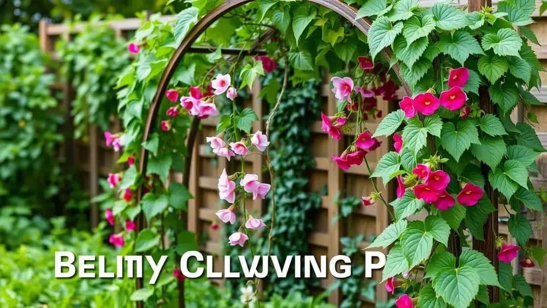 dicas de cultivo para trepadeiras em arcos dicas de cultivo para trepadeiras em arcos