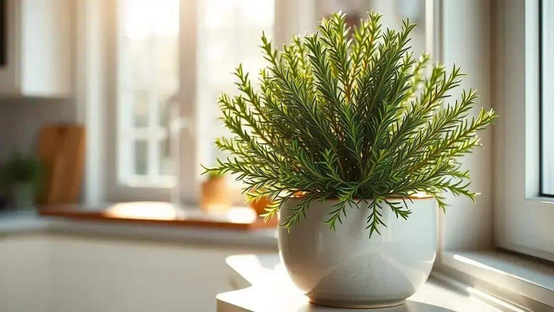beneficios e cuidados dessa planta poderosa