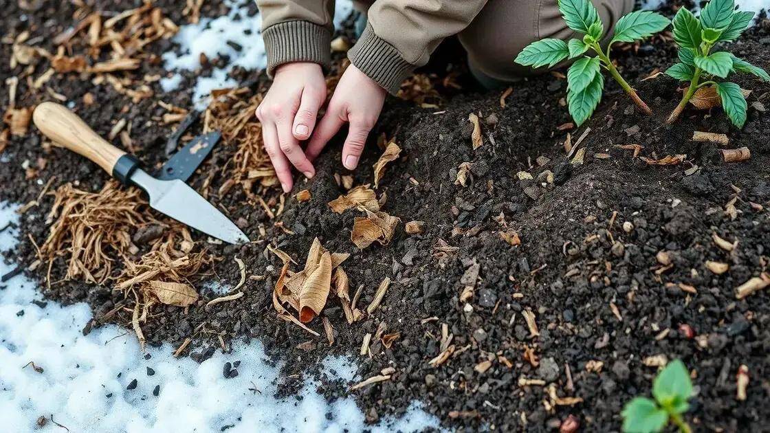 como adaptar o solo para o inverno como adaptar o solo para o inverno