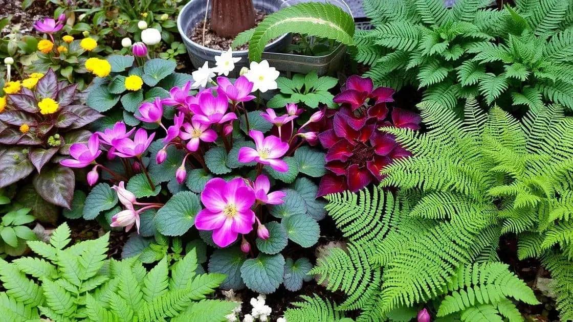 plantas ideais para o frio plantas ideais para o frio