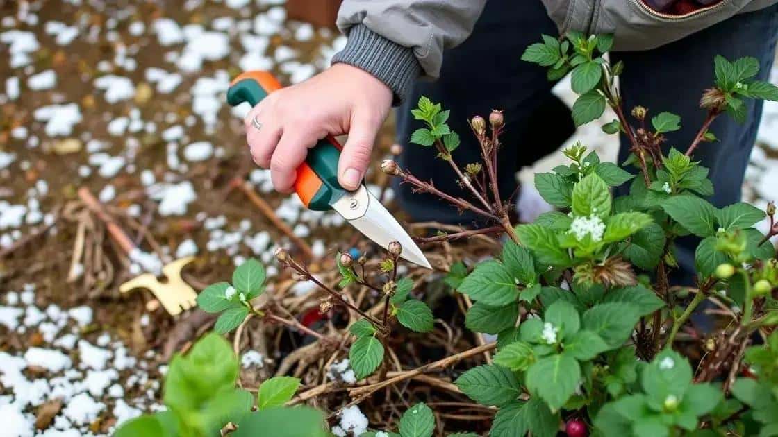 como podar corretamente no inverno como podar corretamente no inverno