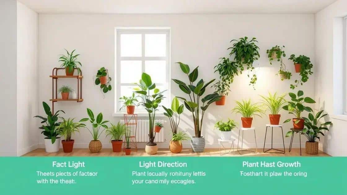 Como escolher a posição ideal para suas plantas Como escolher a posição ideal para suas plantas