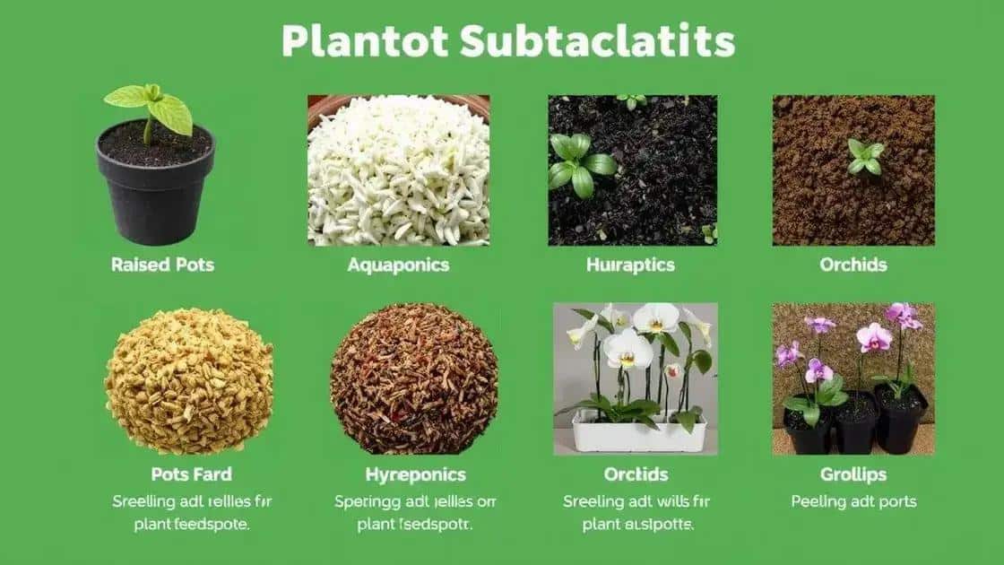 como utilizar substrato em diferentes tipos de cultivo como utilizar substrato em diferentes tipos de cultivo