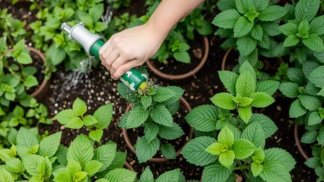 Cuidados básicos que você deve saber Cuidados básicos que você deve saber