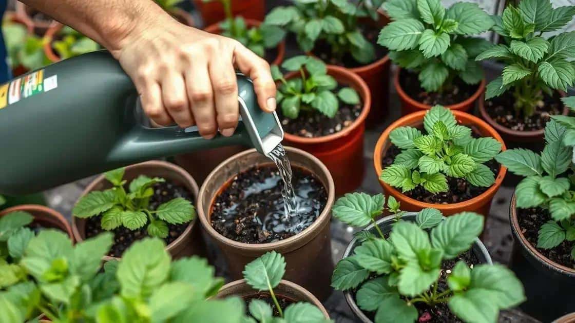 Dicas para regar corretamente suas plantas Dicas para regar corretamente suas plantas