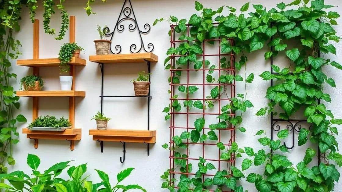 Montagem de suportes e estruturas para plantas