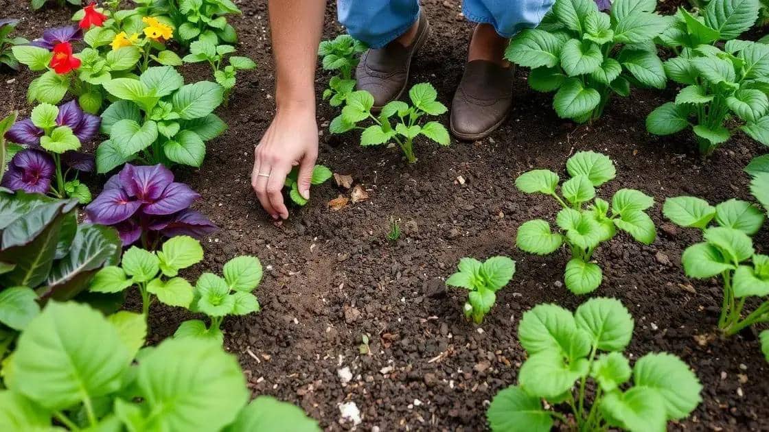 erros comuns na jardinagem e como evitá-los erros comuns na jardinagem e como evitá-los