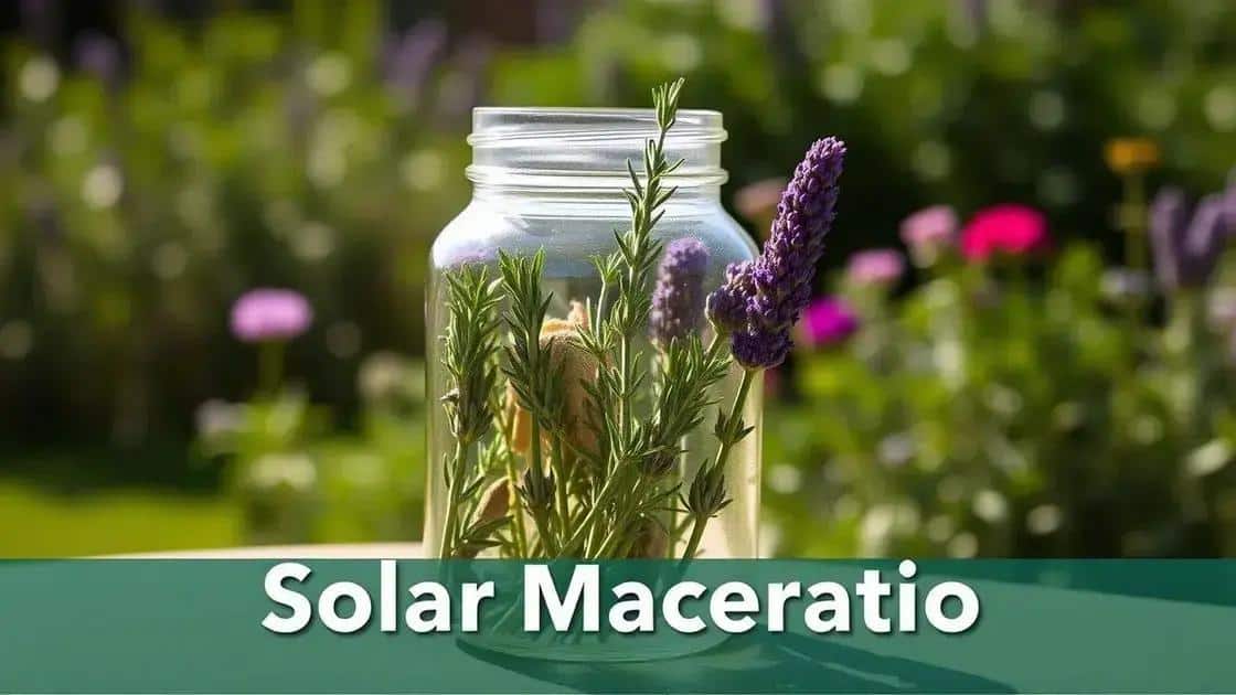 O que é a maceração solar de ervas O que é a maceração solar de ervas
