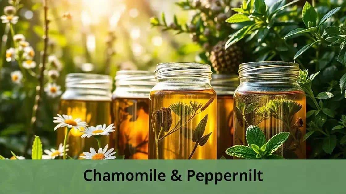 Benefícios da maceração solar para plantas medicinal Benefícios da maceração solar para plantas medicinal