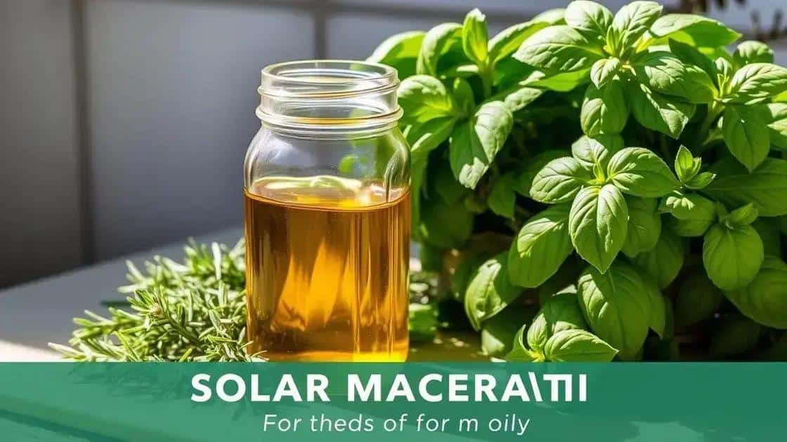 Materiais necessários para a maceração solar Materiais necessários para a maceração solar