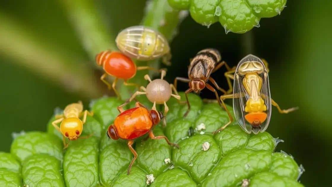 Identificando as pragas mais comuns em plantas ornamentais Identificando as pragas mais comuns em plantas ornamentais