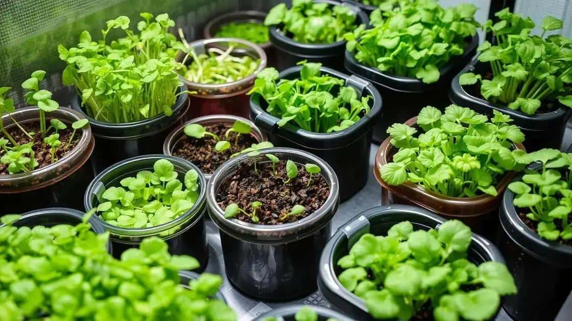 Leia mais sobre o artigo Microjardim Produtivo: Como Cultivar Microverdes que Estão Prontos em Apenas 7 Dias