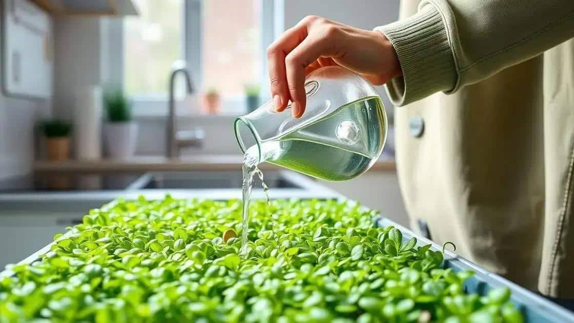 Dicas para cuidar e colher seus microgreens Dicas para cuidar e colher seus microgreens