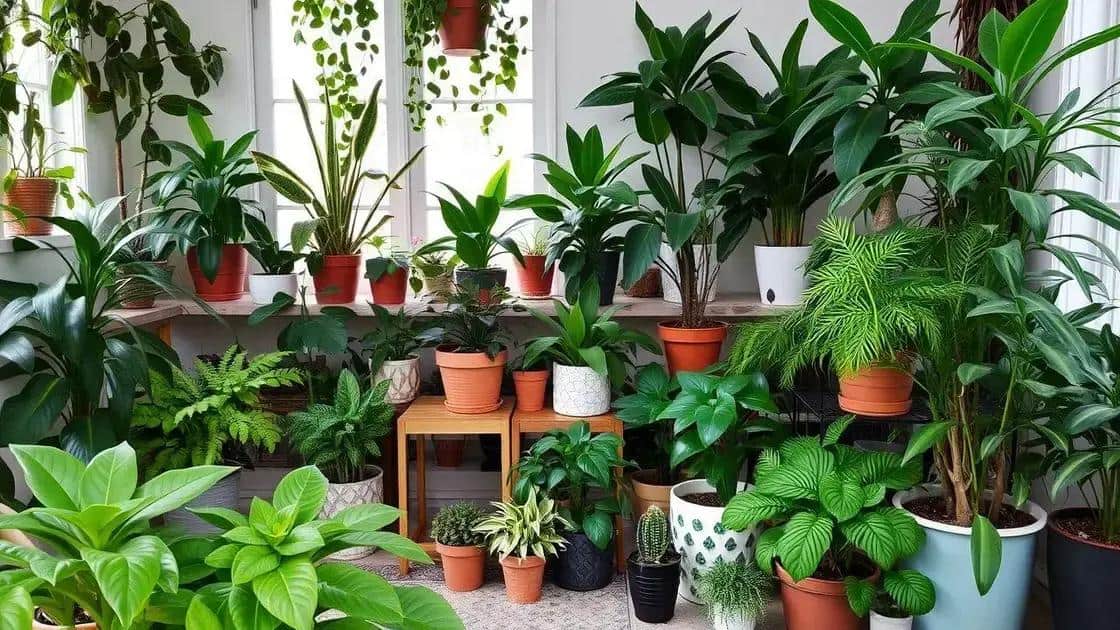 Escolhendo as plantas certas para espaços internos Escolhendo as plantas certas para espaços internos