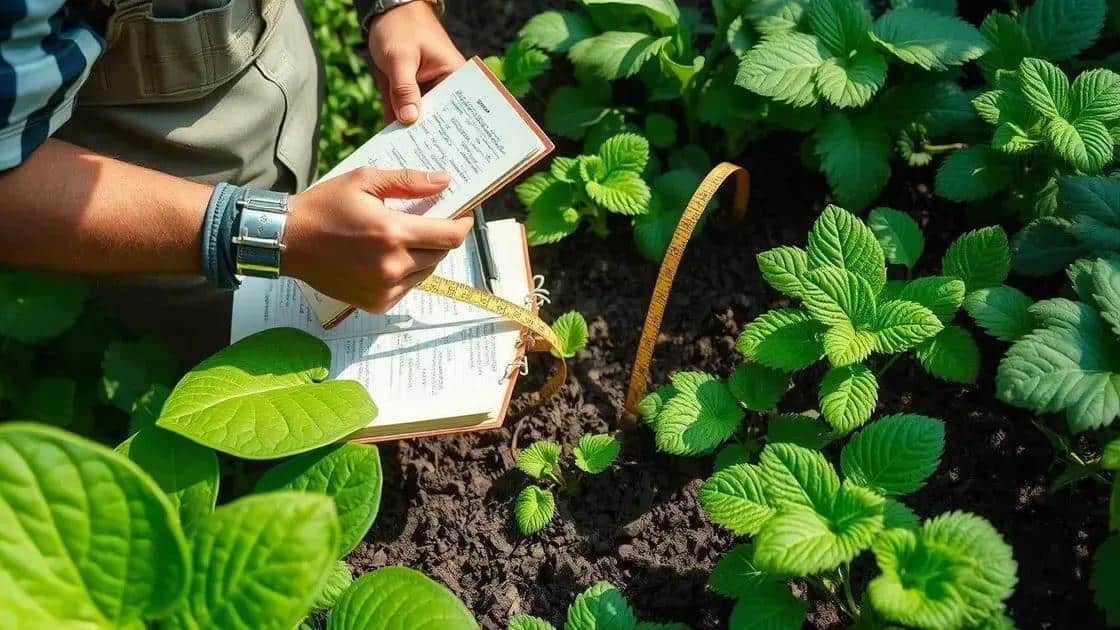 como observar o crescimento das plantas como observar o crescimento das plantas