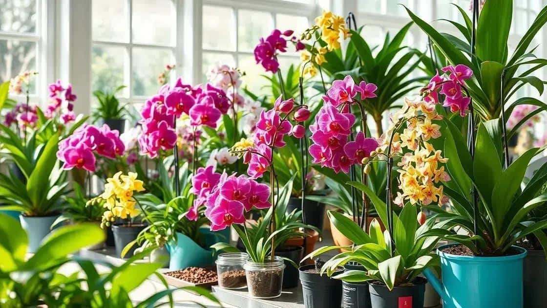 adubação simples para orquídeas saudáveis adubação simples para orquídeas saudáveis