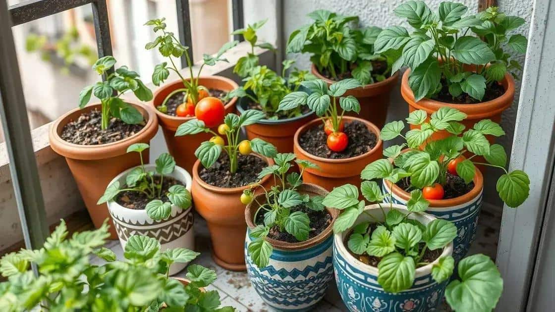 Por que cultivar alimentos em vasos?