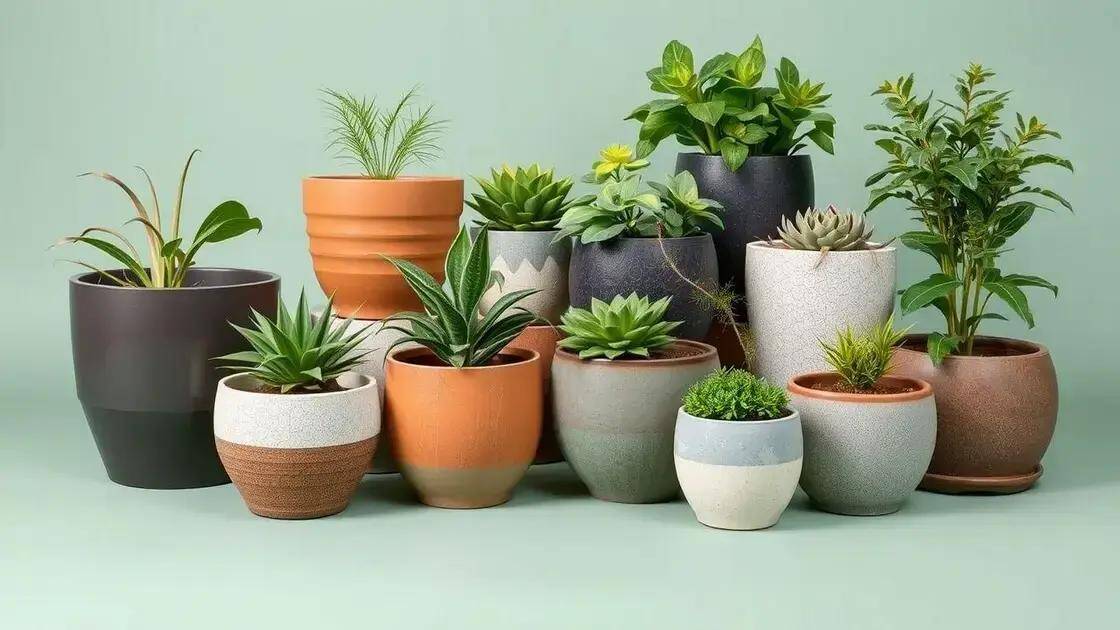Escolhendo os melhores vasos para plantas