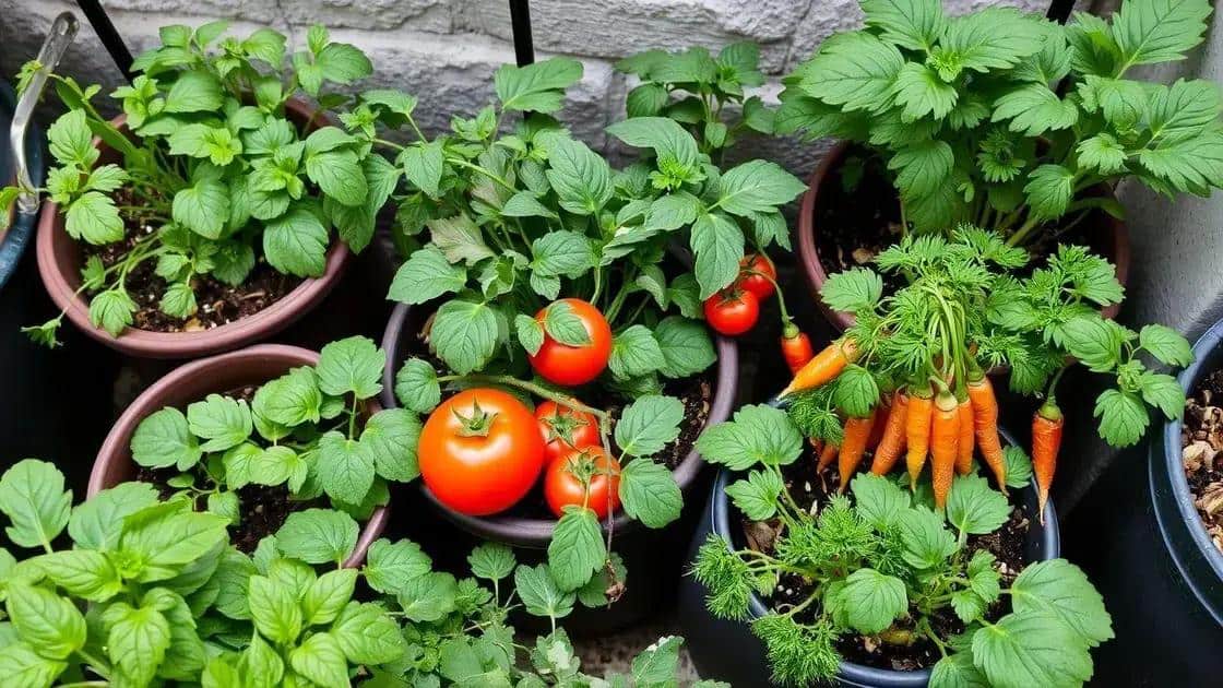 Quais alimentos são ideais para cultivo em pequenos espaços?