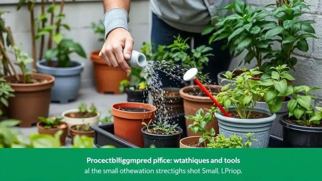 Como regar corretamente sua horta em vasos