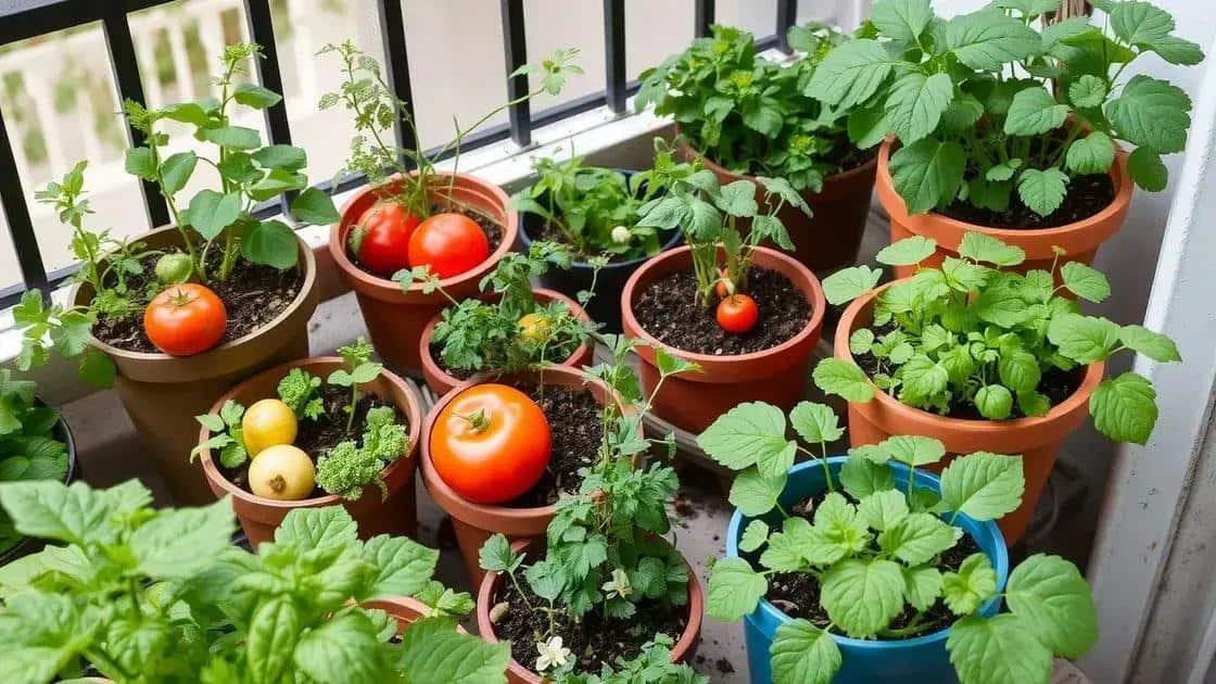 No momento, você está visualizando Passo a passo para plantar legumes e hortaliças em vasos