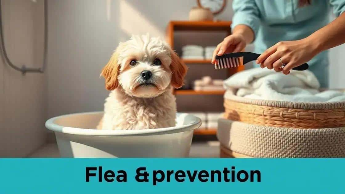 Dicas de higiene para pets livres de pulgas