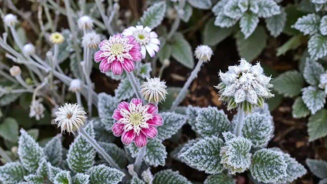 compreendendo o que são geadas e seu impacto nas plantas compreendendo o que são geadas e seu impacto nas plantas