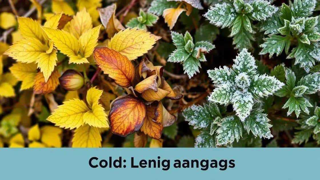 sinais de que suas plantas estão sofrendo com o frio sinais de que suas plantas estão sofrendo com o frio