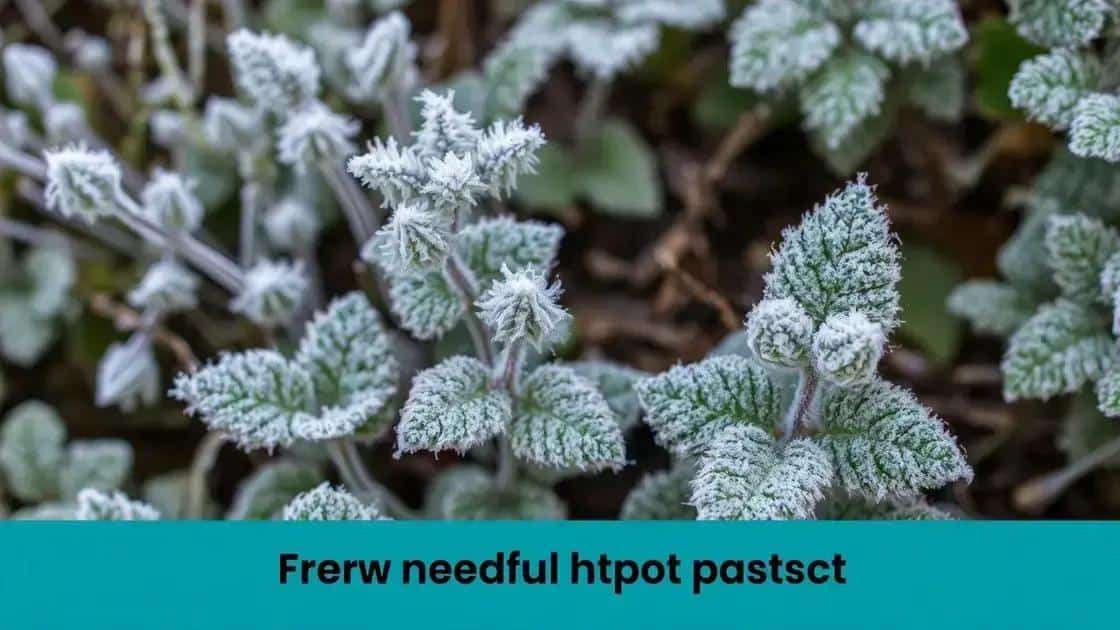 Leia mais sobre o artigo Proteções simples e eficazes para os dias mais frios