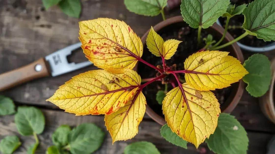 Sinais de que sua planta está doente Sinais de que sua planta está doente