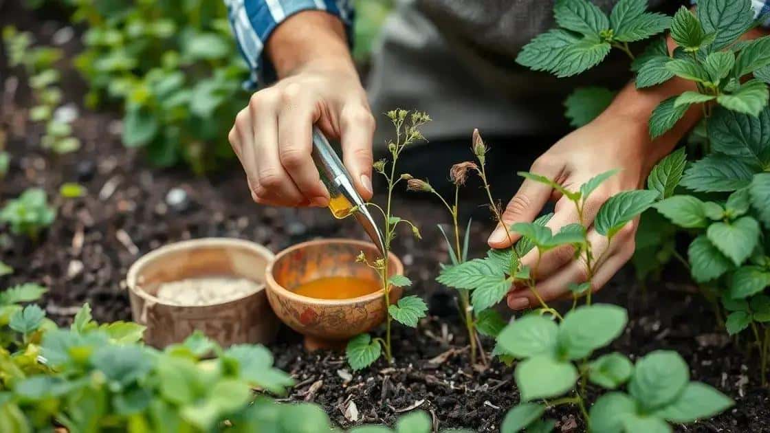 Métodos eficazes para tratamento Métodos eficazes para tratamento