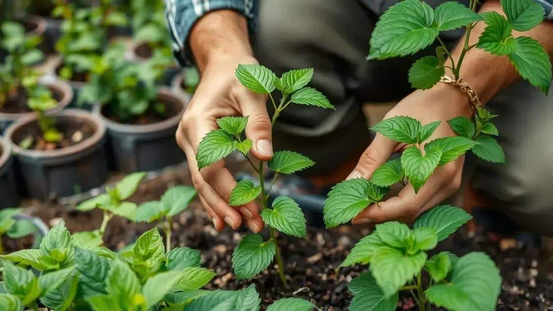 Cuidados pós-recuperação Cuidados pós-recuperação